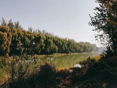 -东郊湿地公园