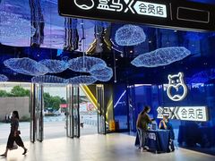 -盒马X会员店(上海森兰商都店)