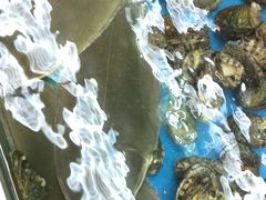 -万宝海鲜舫(劳动公园店)