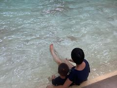 -杭州开元森泊度假乐园