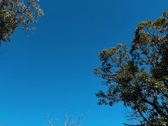 -东钱湖小普陀景区