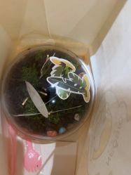 -奈尔宝·儿童乐园·亲子餐厅(星河湾店)