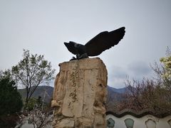 -北京鹫峰国家森林公园