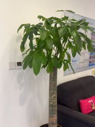 -丰联丽格医疗美容·联合丽格眼整形中心