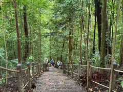 -武吉知马自然保护区