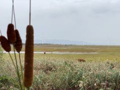 -野鸭湖国家湿地公园