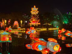 -洛阳市隋唐城遗址植物园
