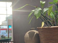 -小泉居(水坑尾店 )