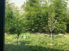 -柴米油盐(土菜院子店)