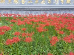 -西安大兴善寺