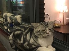 -咖法森林·咖啡  酒吧(天河店)