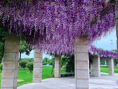 景点-歌斐颂巧克力小镇