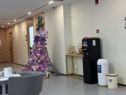 -上海伊莱美医疗美容医院