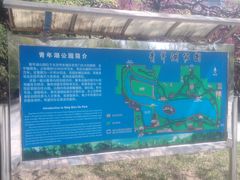 -青年湖公园水上世界