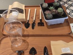 -星巴克(深圳五洲星苑店)