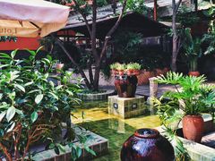 -Local泰莲庭(虹鳟鱼店)