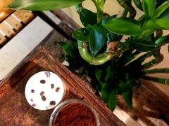 -阿什卡咖啡馆ESSCA COFFEE(塔里木石油宾馆店)