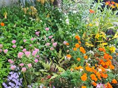 -自由生长植物工作室(深港花卉中心店)