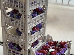 -马陆小张葡萄园农家乐