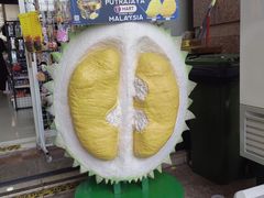 -吉隆坡国油双峰塔