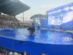 -上海海昌海洋公园
