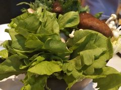 -若蘭慈·无国界素食料理(欢乐海岸店)