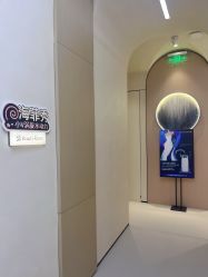 -Fundi张玉珊修身堂·indiba·BTL科技瘦身