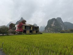 -明仕田园