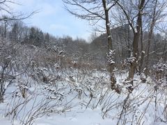 -雪谷