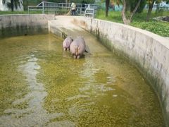 -西安秦岭野生动物园