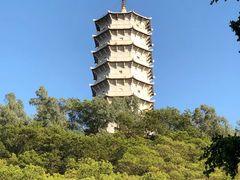 -深圳国际园林花卉博览园