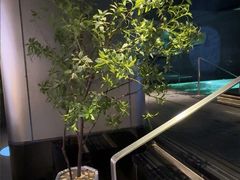 -漫·汤泉