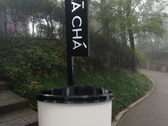 -MAMACHA妈妈茶(岳麓山店)