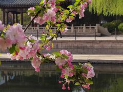 -海棠花溪(元大都城垣遗址公园)