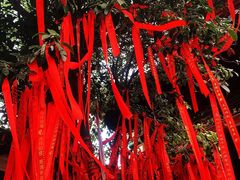 -长春观