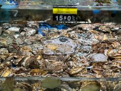 -吉莲利苑海鲜酒家(珠海拱北28年老字号店)