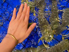 -金悦轩海鲜酒家(拱北店)