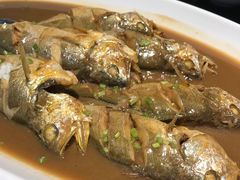 -青岛美食鲁菜大酒店