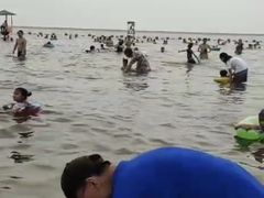 -碧海金沙