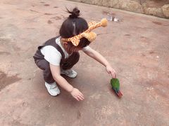 -灵玲国际马戏城