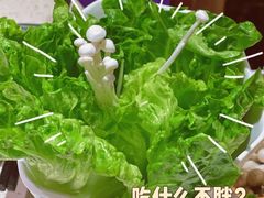 -润泽园椰子鸡(汇一城店)
