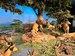 -国家自然博物馆