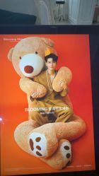 -不迫先生专业男士剪发