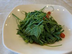 -楼外楼(西湖景区孤山路店)