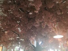 -活鳗饭·鹅肝范儿(高碑店店)