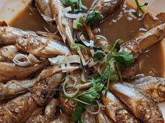 -天天鱼港·海鲜·鲅鱼水饺·招牌烤鸭(黄骅店)