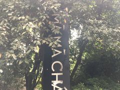 -MAMACHA妈妈茶(岳麓山店)
