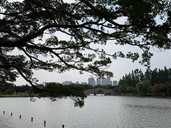 -江心屿景区