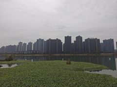 -大小河街