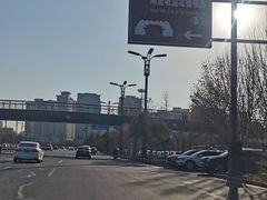 -洛阳市隋唐城遗址植物园
